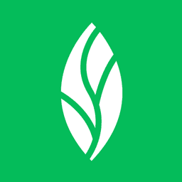 MINT dentistry's profile image