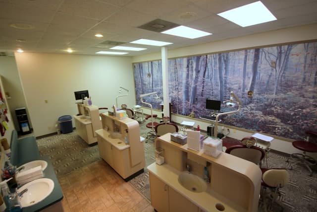 Olim and Associates photo