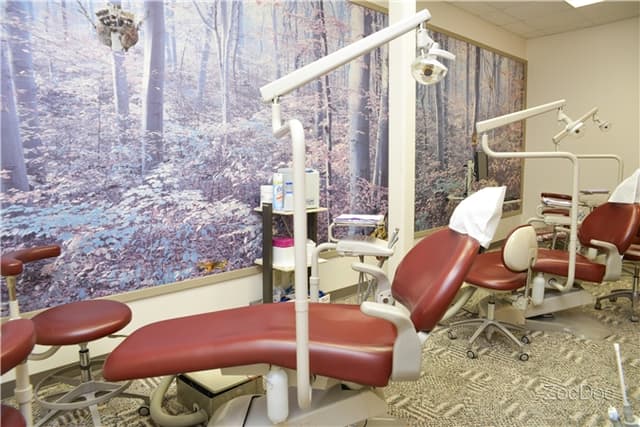 Olim and Associates photo