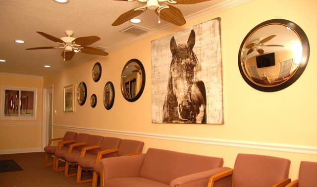 Bay Center for Oral and Implant Surgery photo