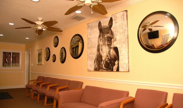 Bay Center for Oral and Implant Surgery photo