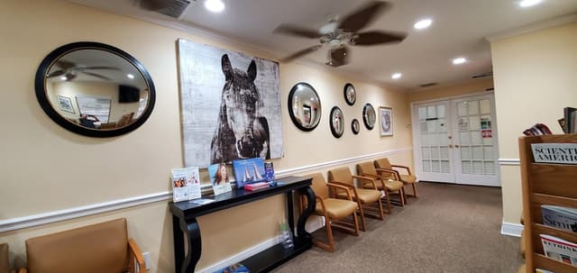 Bay Center for Oral and Implant Surgery photo