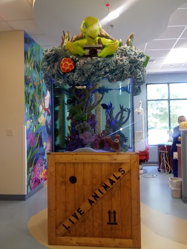 Scuba Smiles for Kids photo