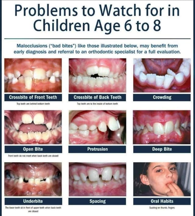 Stone Creek Orthodontics photo