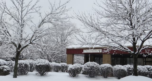 Pincofski Orthodontics photo