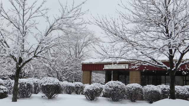 Pincofski Orthodontics photo