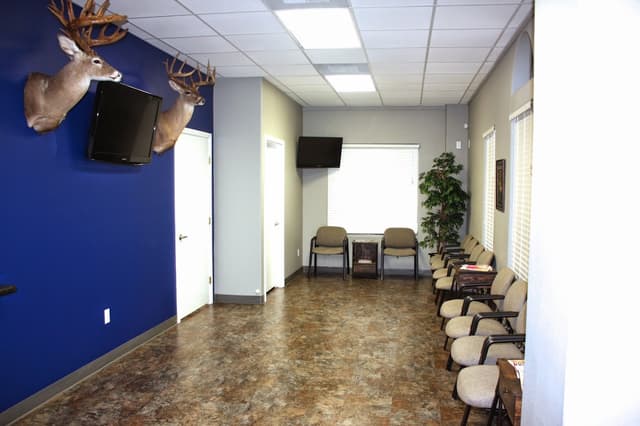 Vela Orthodontics photo