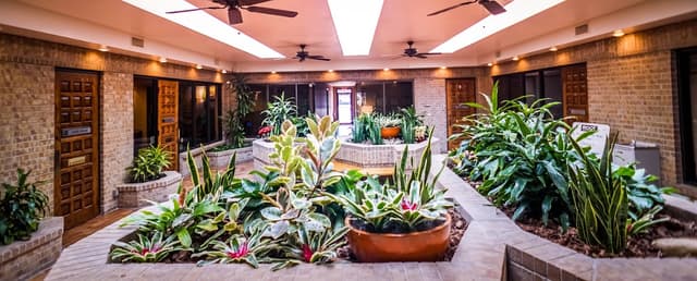 ROOT Periodontal & Implant Center - Flower Mound photo
