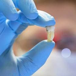 Periodontal Associates of NJ photo