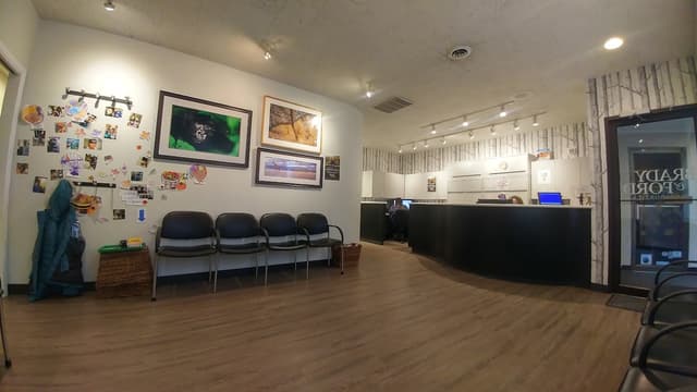 Brady Orthodontics photo
