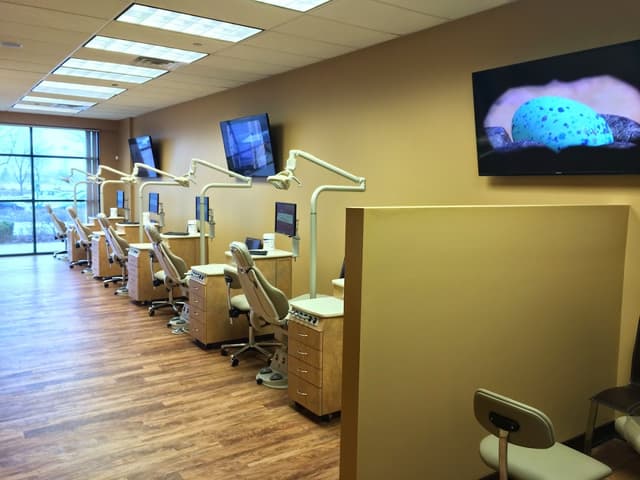 Beauty Smile Orthodontics photo