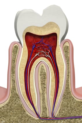 Jutkowitz Periodontics & Implantology photo