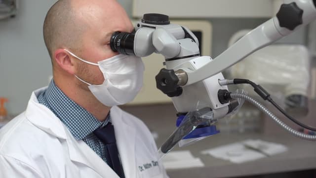 Tangredi Endodontics photo