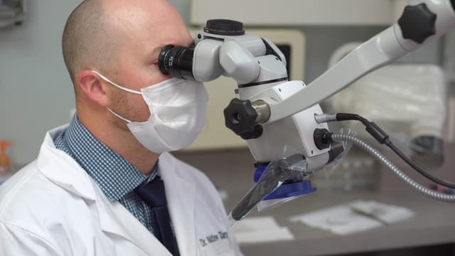 Tangredi Endodontics photo