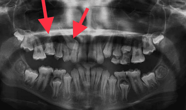 Freeman Orthodontic Specialists photo