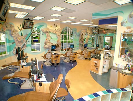 Freedman and Haas Orthodontics - West Palm Beach photo
