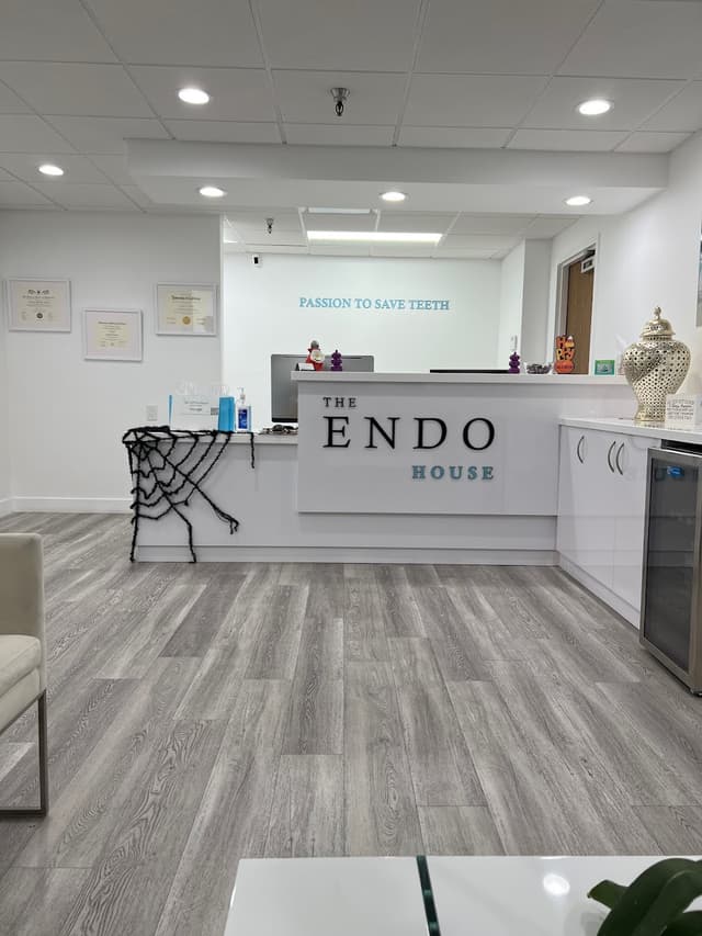 The Endo House photo