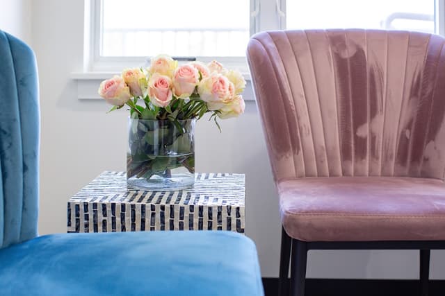 Tiny Tooth Co. and Trindade Orthodontics photo