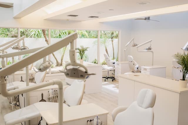 Palm Orthodontics photo