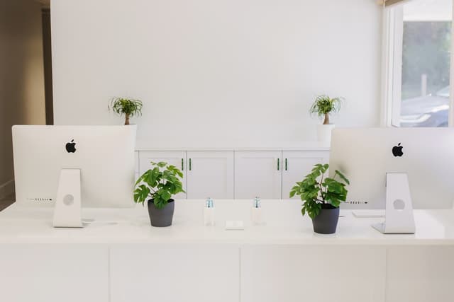 Palm Orthodontics photo