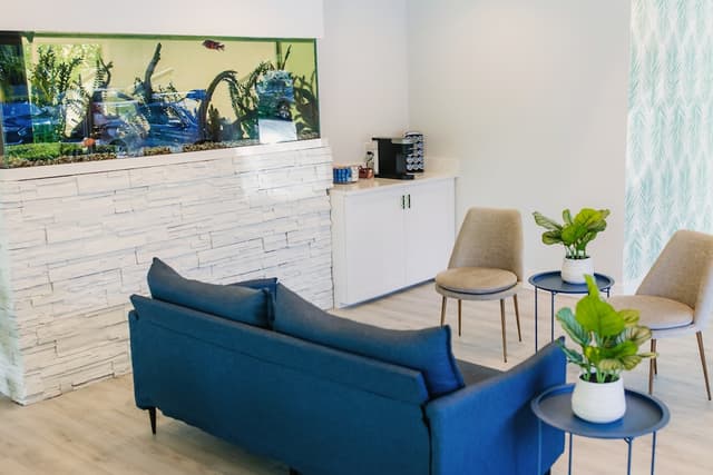 Palm Orthodontics photo