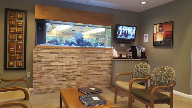 Palm Orthodontics photo