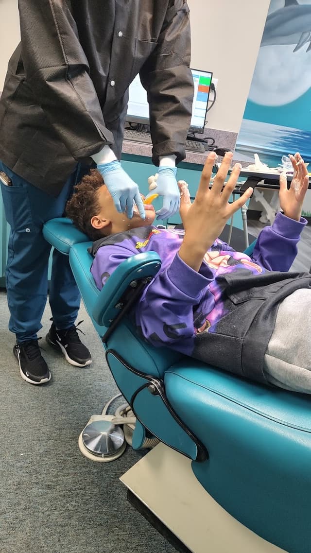 Palm Tree Orthodontics photo