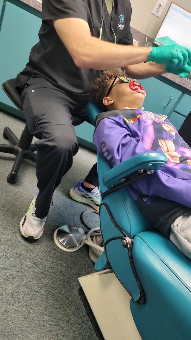 Palm Tree Orthodontics photo