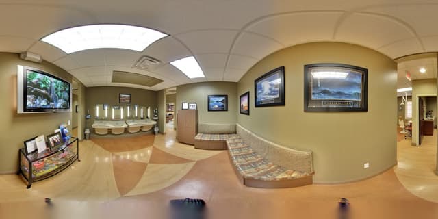 Martin Orthodontics photo