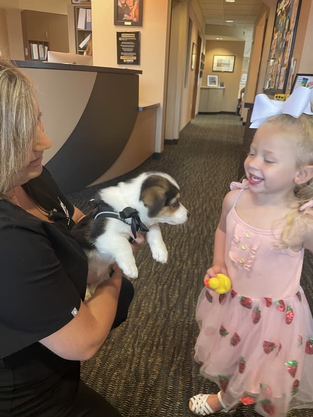 Heintz & Bankhead Orthodontics photo