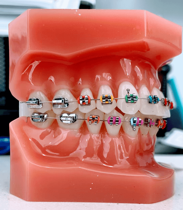 Golub Orthodontics photo