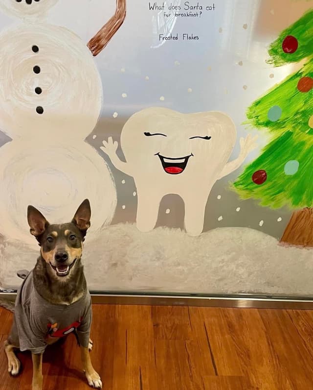 Prairie View Orthodontics - Aurora photo