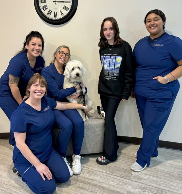 Prairie View Orthodontics - Aurora photo