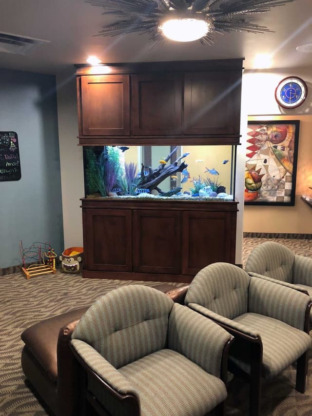Mills Orthodontics photo