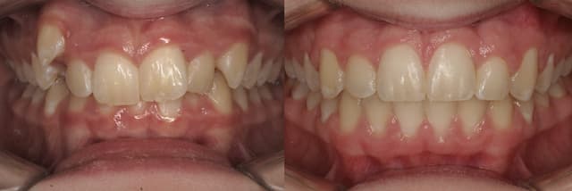 Arpino Orthodontics photo