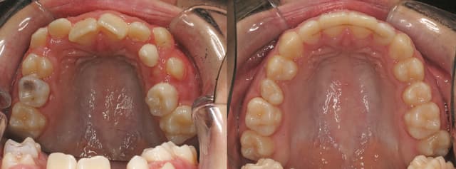 Arpino Orthodontics photo