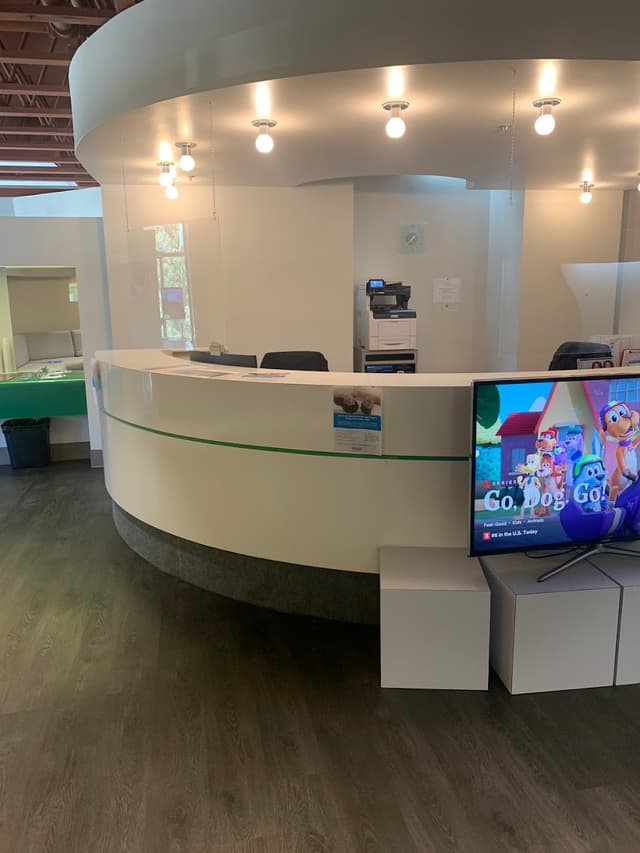 Image Orthodontics - Westborough Blvd photo