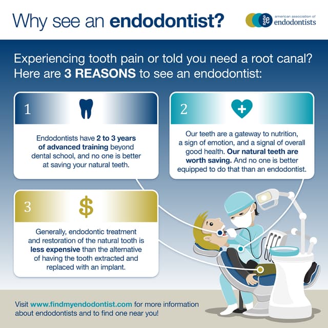 Silicon Valley Endodontics and Microsurgery photo