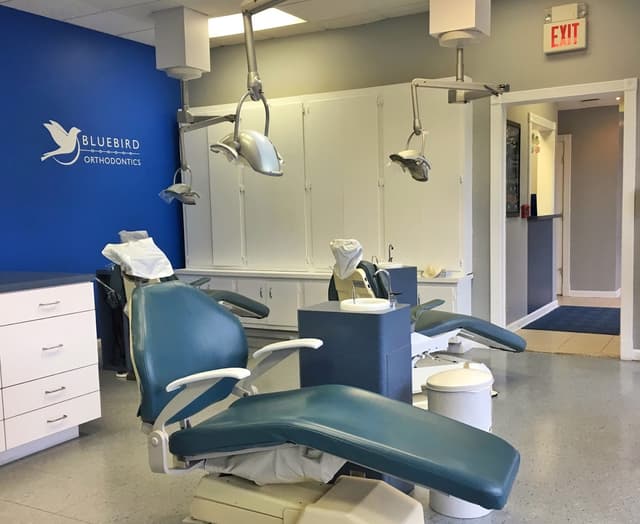 Bluebird Orthodontics photo