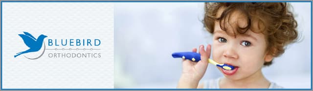 Bluebird Orthodontics photo