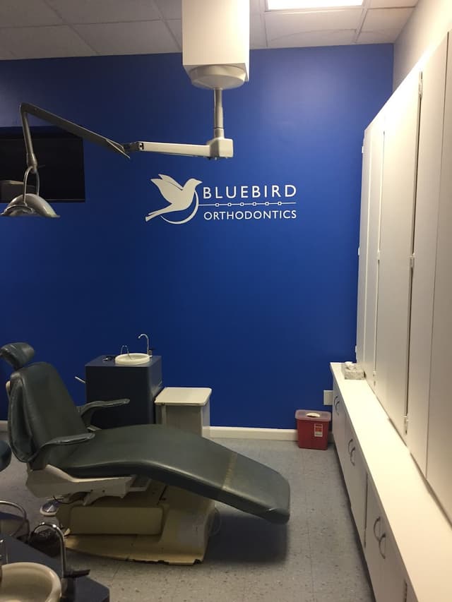 Bluebird Orthodontics photo
