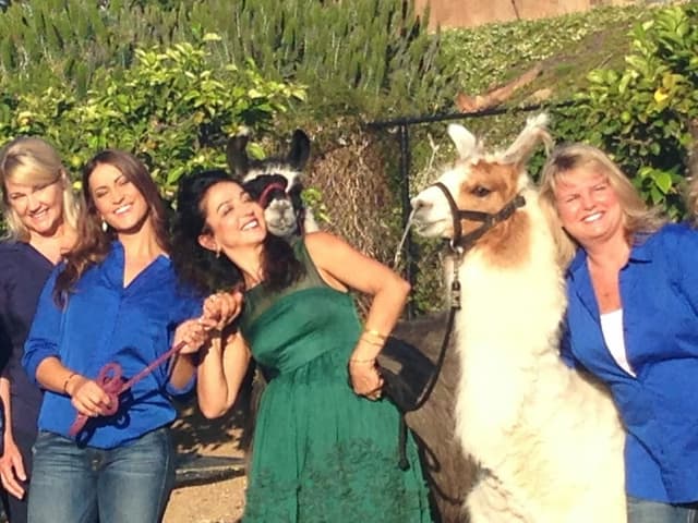 Lifetime Smiles photo
