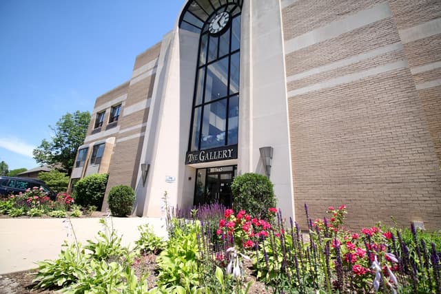 Endodontic Associates of Illinois photo