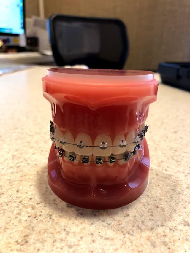 Banasiak & Nettune Orthodontic Associates photo