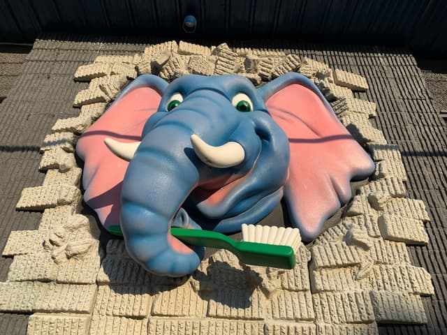 Gentle Touch Smiles for Kids photo