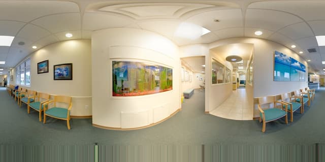 Gulf Coast Orthodontics photo