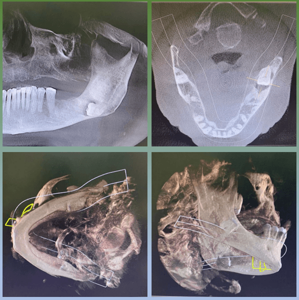 Oral Surgery Associates of South Texas photo