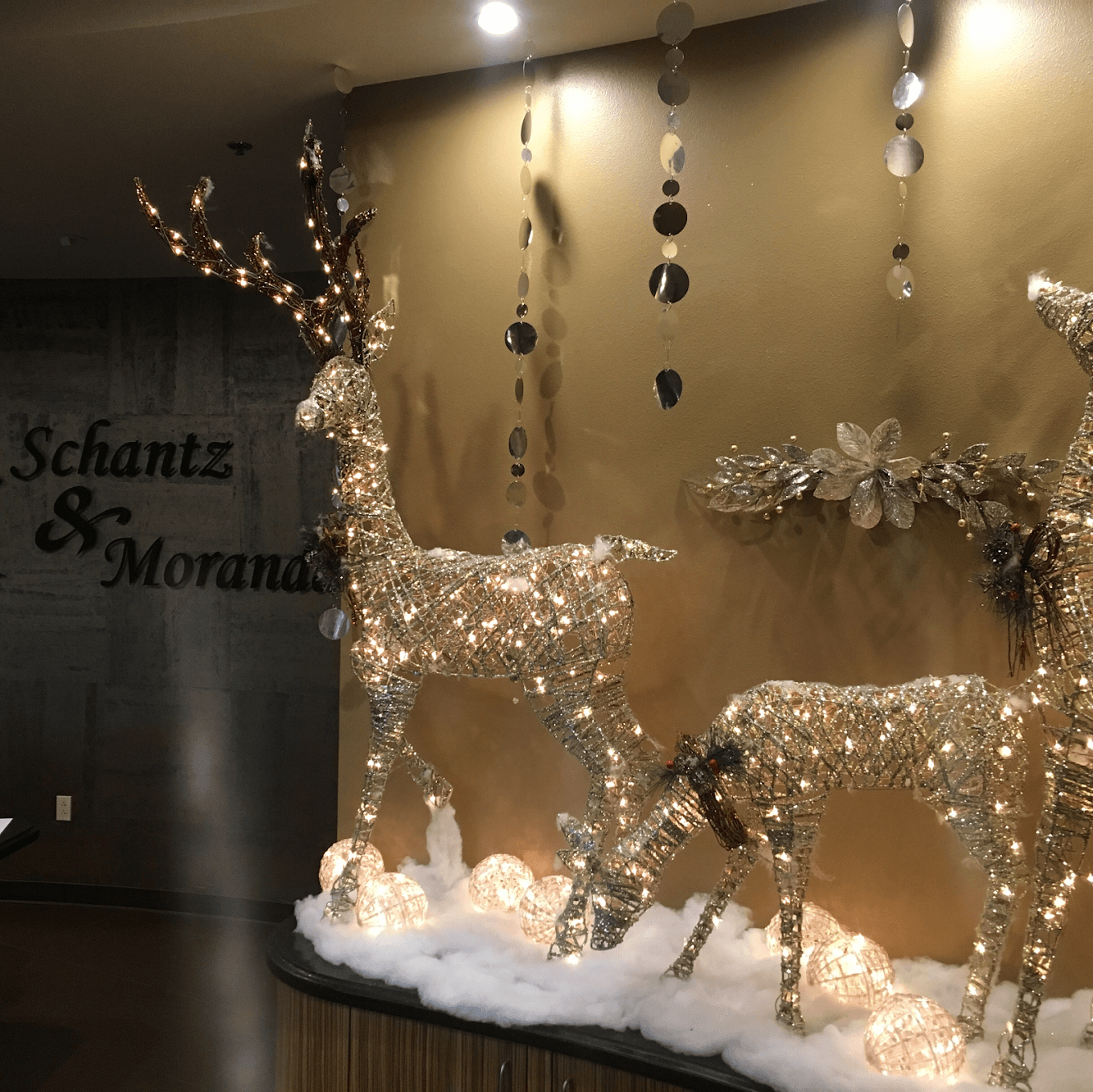 Schantz & Moranda Orthodontic Care's profile image