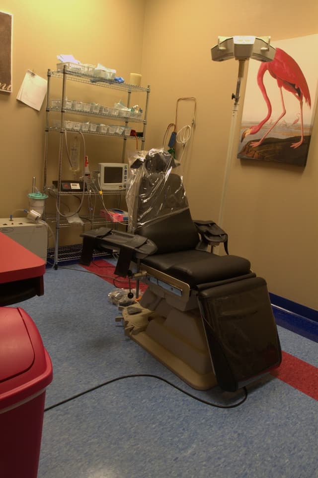 Oral Facial Surgical Arts photo