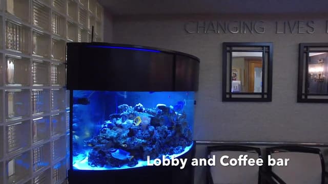 McCawley Center for Laser Periodontics & Implants photo